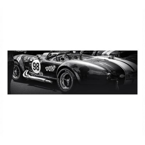 Cuadro de Coche Clásico Shelby Cobra con Marco Blanco y Negro 81-482